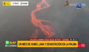 Volcán Cumbre Vieja: un mes de humo, lava y devastación sin final a la vista
