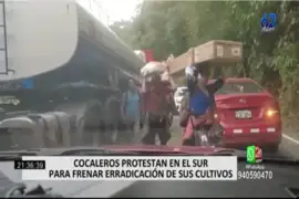 Cocaleros protestan en el Sur para frenar erradicación de sus cultivos