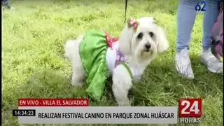Municipalidad de Lima organiza concurso de disfraces caninos en Parque Zonal Huáscar