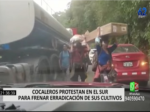 Cocaleros protestan en el Sur para frenar erradicación de sus cultivos
