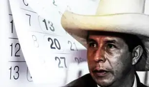 100 días que parecen 100 meses: presidente Pedro Castillo liquidó solo su primavera