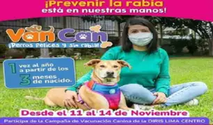 Minsa: vacunarán a más de 128.000 perros contra la rabia en Lima Centro