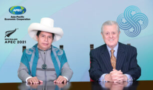 Presidente Castillo propone en Apec medidas que ayuden a aliviar la pobreza y luchar contra la corrupción