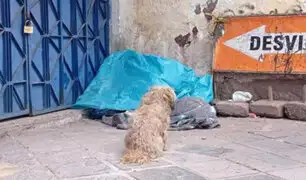 Cusco: adulto mayor falleció en plena calle y su mascota se niega a abandonarlo