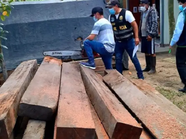 Rioja: dictan prisión preventiva a tres sujetos por transportar madera ilegal de especie protegida
