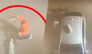 Pitbulls intentan atacar a un joven que sacó a pasear a su mascota