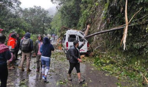 Tragedia en Huánuco: pesado árbol  cae sobre combi y mata a pasajero