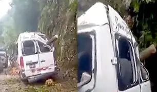 Árbol se desploma y aplasta a un hombre durante huaico en Huánuco