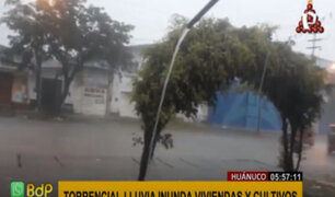 Huánuco: torrencial lluvia inunda viviendas y varias hectáreas de cultivos