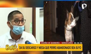 Miraflores: dueño de barbería se defiende tras ser acusado de abandonar a perro