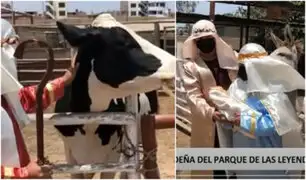 Escenifican en vivo "Granja Navideña" del Parque de las Leyendas con burritos, vaquitas y ovejitas