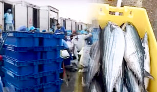 Terminal pesquero del Callao funcionará con normalidad el primero de enero