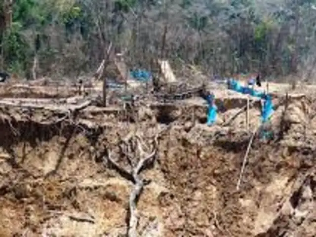¡Duro golpe al crimen! PNP desarticuló mafias de minera ilegal y tala de árboles