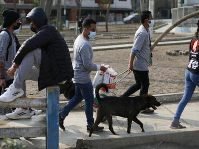 'Dame una patita de amor': jóvenes alimentan y curan a perros abandonados de VMT