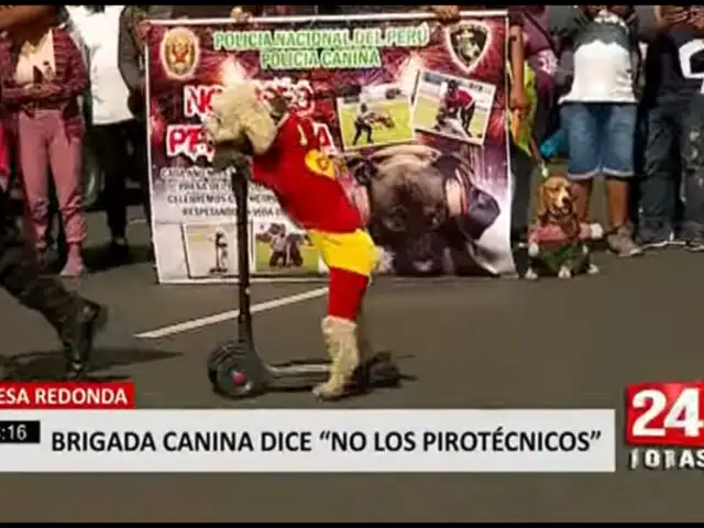 Mesa Redonda: Brigada Canina realiza show en contra de los pirotécnicos