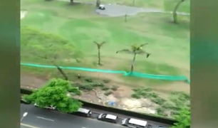 San Isidro: vecinos indignados tras la tala de árboles en Lima Golf Club