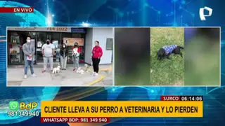 Surco: hombre denuncia que veterinaria perdió a su perro tras solicitar servicio de baño