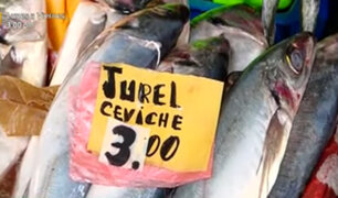 VMT: Conozca el precio del pescado en el terminal pesquero del distrito