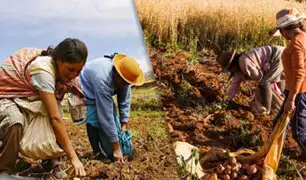 Midagri: Sector agropecuario creció 2.9% entre enero y noviembre de 2021
