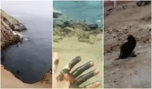 Derrame de petróleo en mar "por fuerte oleaje" afecta a pescadores, bañistas y fauna marina