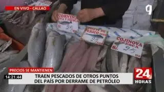 Callao: comerciantes traen pescados de otros puntos del país por derrame de petróleo