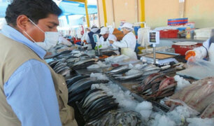 Callao: Precios en terminal pesquero se mantienen pese a derrame de petróleo