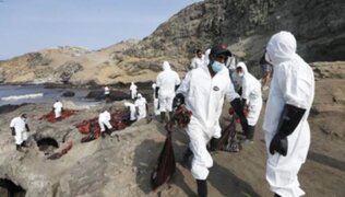 Derrame de petróleo: al menos 4 funcionarios de Repsol son investigados por desastre medioambiental