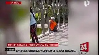 Trujillo: captan a sujeto robando peces de parque ecológico