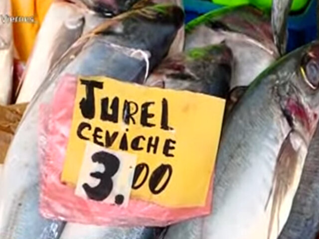VMT: Conozca el precio del pescado en el terminal pesquero del distrito