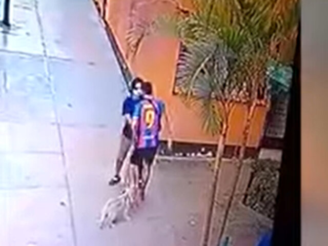 Surco: joven saca a pasear a su perro y termina siendo golpeado por delincuente