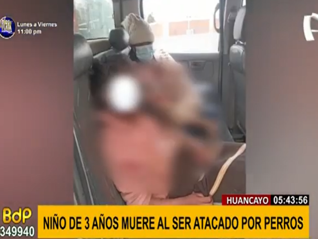 Huancayo: detienen a presunto dueño de perros que mataron a niño de 5 años