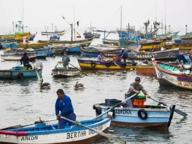 Produce benefició a más de 32 000 pescadores artesanales con subsidio económico de 500 soles