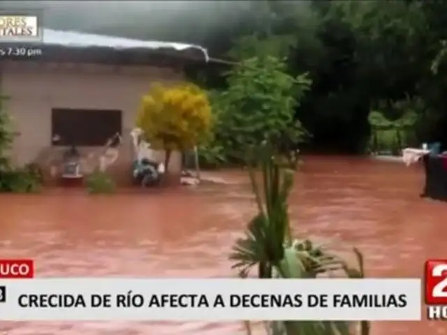 Huánuco: Decenas de familias quedaron damnificadas por crecida de río