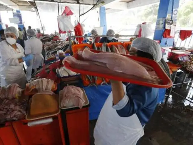Semana Santa en Piura: Se dispara la demanda de pescado en los terminales