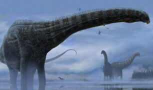 Encuentran primeras evidencias de que dinosaurios tuvieron infecciones respiratorias