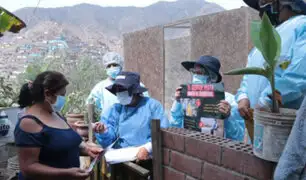 SJL: brigadas sanitarias intervienen viviendas para eliminar el vector que transmite el dengue