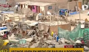 Surco: vecinos denuncian que tiene que convivir en medio de la basura y los roedores