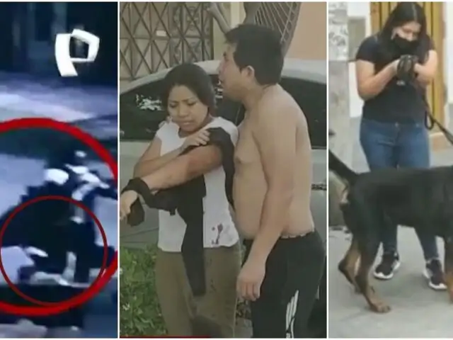 Perro con antecedentes: Rottweiler ataca y muerde a una joven cuando transitaba en SJL