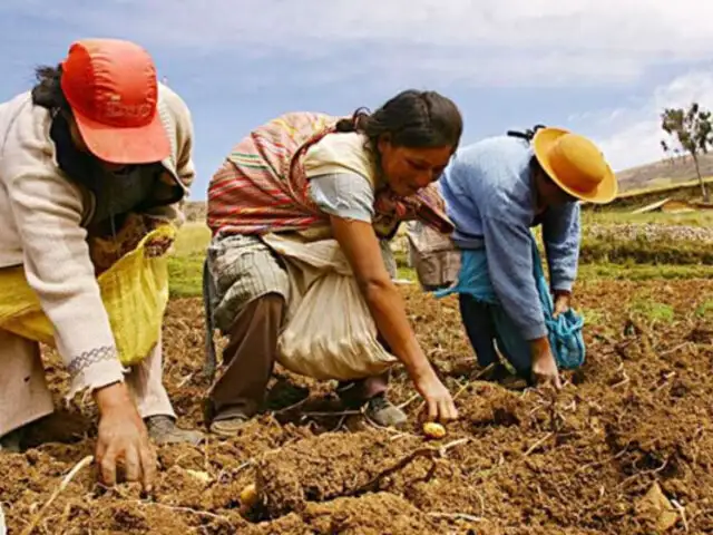 Gremios agrarios sobre paro de transportes: perjudican gravemente al sector