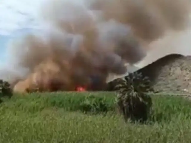 Lurigancho-Chosica: Se registró un incendio forestal en la Carretera Central