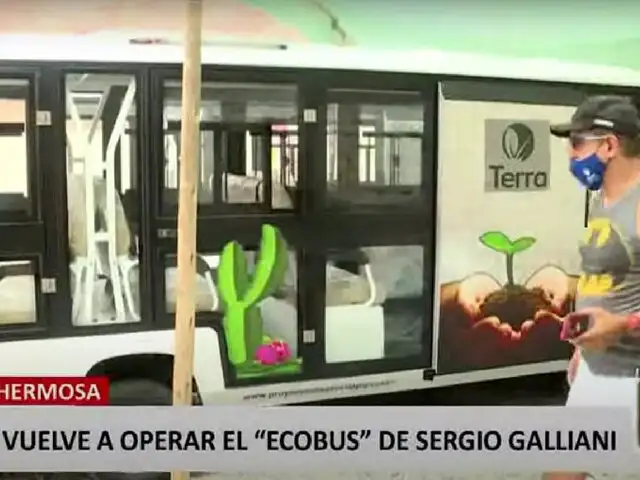 "Ecobuses" de Sergio Galliani vuelven a operar en Punta Hermosa