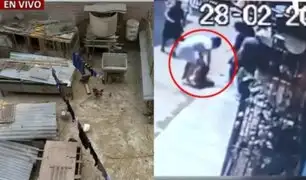 SJL: vecinos denuncian que perro pastor alemán ataca a sus mascotas desde hace un año