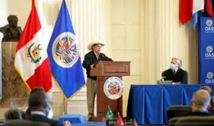 Pedro Castillo: ¿Qué países apoyarían al presidente para activar la carta democrática de la OEA?