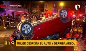 Aparatoso accidente en Lince: mujer pierde el control en su vehículo y derriba árbol