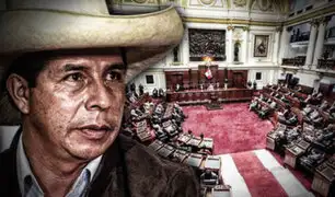 José Elice: Pedido de Castillo para ir al Congreso no interfiere con debate sobre moción de vacancia