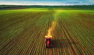 Guerra Rusia – Ucrania: FAO señala que conflicto amenaza cadena de alimentos y fertilizantes