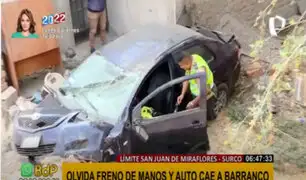 Descuido pudo ser mortal: conductor olvida poner freno de mano y auto cae a precipicio