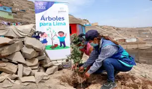 Hora del Planeta: inician plantación de 1 000 árboles en Puente Piedra