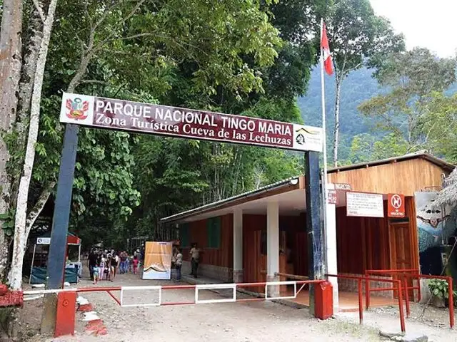 ¡Orgullo Nacional! Parque Nacional Tingo María recibe premio