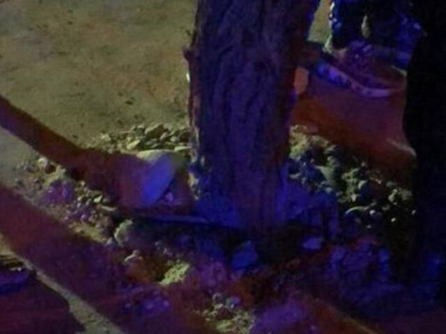 Ica: vecinos rompen pista para plantar árbol y celebrar con 'yunza' fin de los carnavales